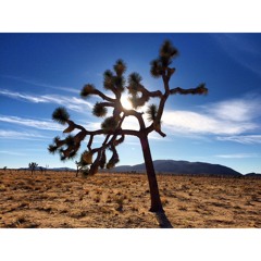 Road Trippin' (a Psychedelic desert rock experience)