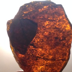 TMD (aka no drummers allowed) - Tainted Love Stain Princess