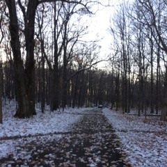 How Will I Know - Whitney Houston