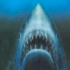 Armaniano- Shark Infestation