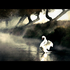 Random Lyrics - Drunken Swan