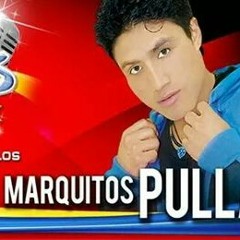 Markitos pullay