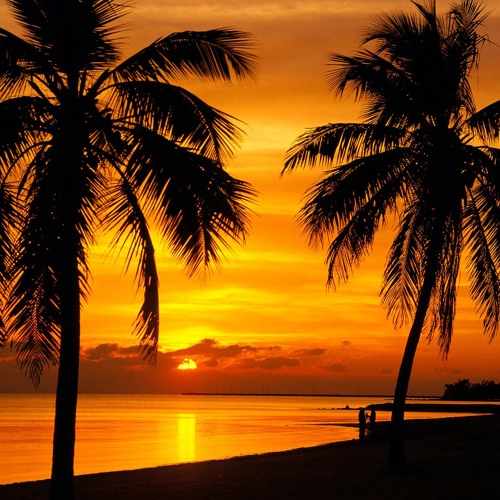 Moo - Sunset At Keywest