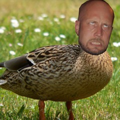 Quack-Shugga - Quack-gah (Meshuggah - Stengah)