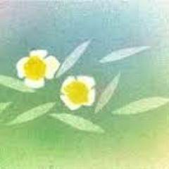 ေႏြဦးကံ့ေကာ္ ခ်ိဳျပံဳး (၁၉၈၂) ၊ ထူးအိမ္သင္ (၂၀၀၃)