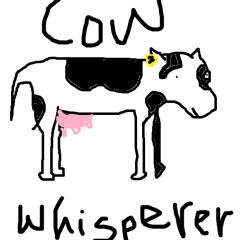 Cow Adventures with Cow Whisperer Coffee