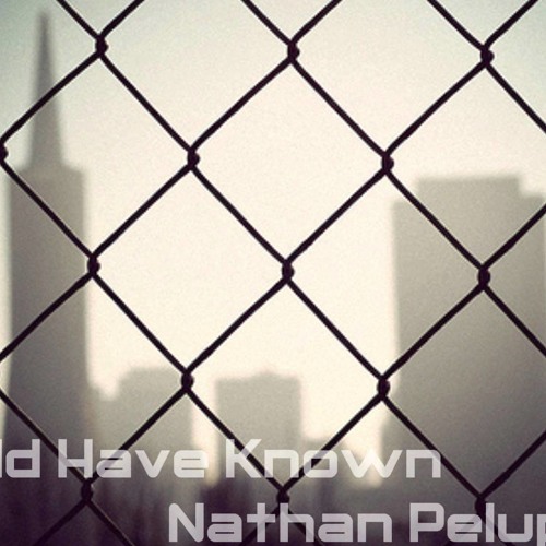 Nathan Pelupessy﻿ - I Should Have Known