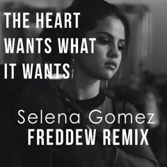 Selena Gomez - The Heart Wants What It Wants (Freddew Remix)