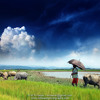 Bangla Song Kuasha Ft Habib new bangla