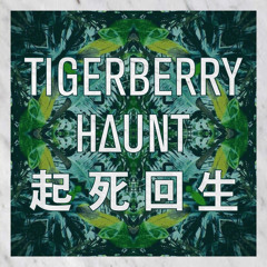 Tigerberry — Break The Lies