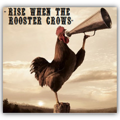 The Ozark Highballers - Rise When the Rooster Crows