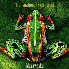 Transnational Expression [Mix]