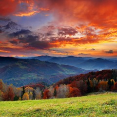 Calibre & High Contrast - Mr Majestic