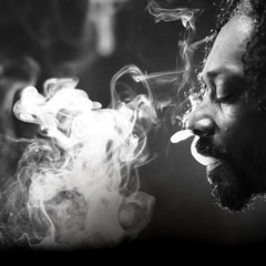 Snoop Dogg - We Da West