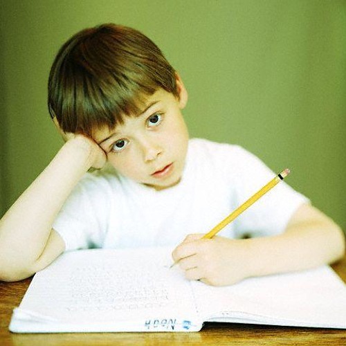 1.3 يالا نذاكر