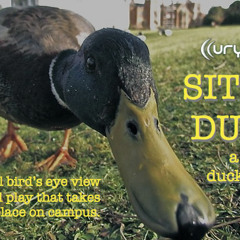 Sitting Ducks Flappening Preview