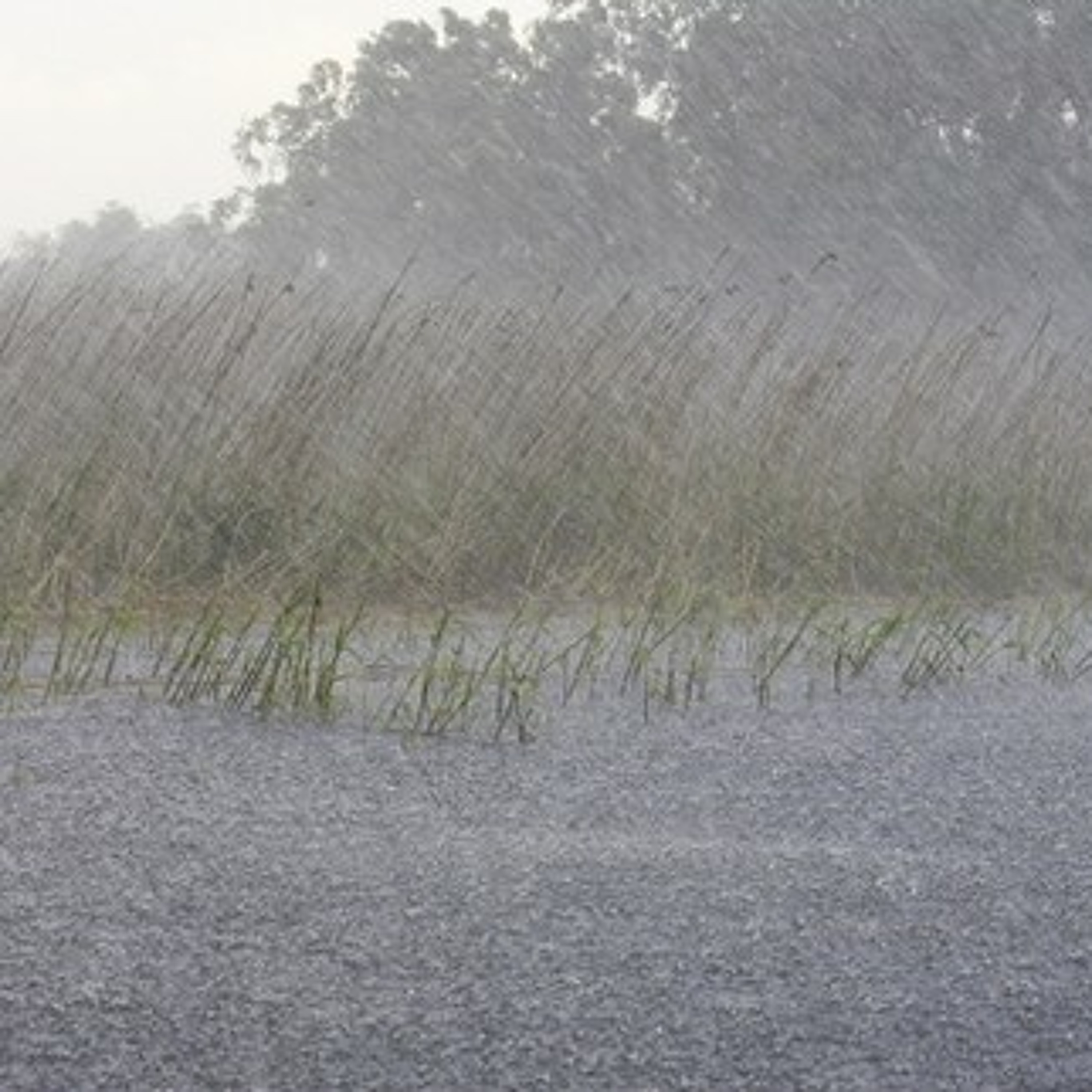 Autumn Rainfall