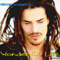 Wonderful Life