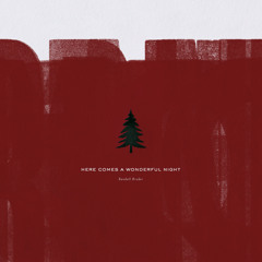 Here Comes A Wonderful Night