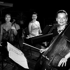 Astor Piazzolla   Oblivion