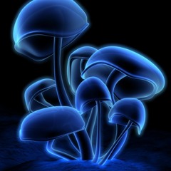 Electro(house/step/core)