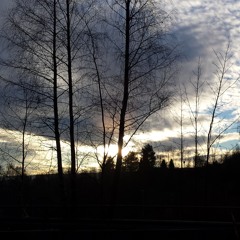 Precious Things All Around Me