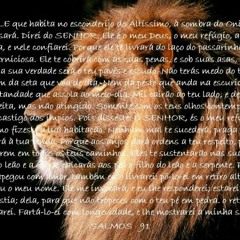 sobrevivente da guerrilha