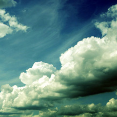 Shelter From The Storm