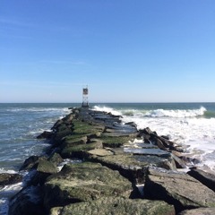 Young and Able - Current Swell (Cover)