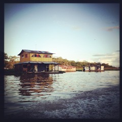 Amazonas Hotel - Selva Dia - 02.wav (Audio AAC)