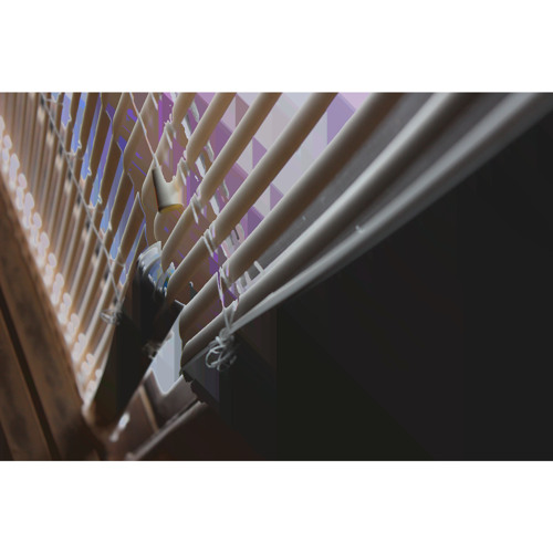 true.names [experiment #4]