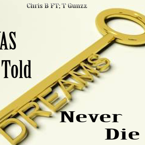 Chris B - I Was Told Dreams Never Die Ft T Gunzz