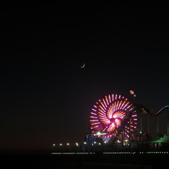 Plums -1 111 - Edit1 2