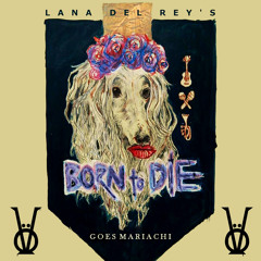 Born To Die (Lana del Rey Cover)