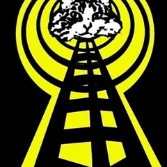 Station Identification for FatCat Radio