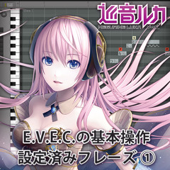 HARDデータベース：E.V.E.C. 設定済みフレーズ