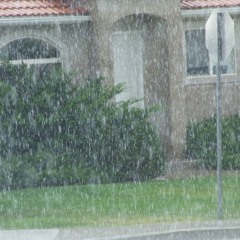 day 5: rainstorm, open-minded.