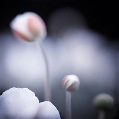 Epilogue of Praise_영원한 주님의 사랑