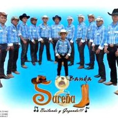 BANDA SUREÑA= Mi Angel, Yo Te Quiero. (Álbum 2014)