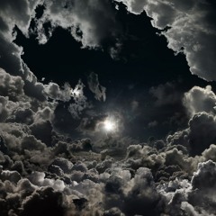 the bortness 2 [rough]