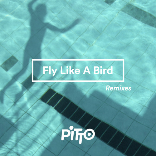 Pitto - Fly like a Bird ( Till von Sein & Tigerskin Remix )