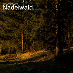 Sinnesmensch - Nadelwald (Original Mix)