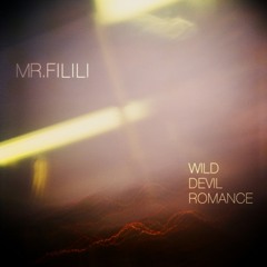 Wild Devil Romance