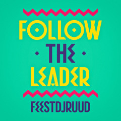 FeestDJRuud - Follow The Leader
