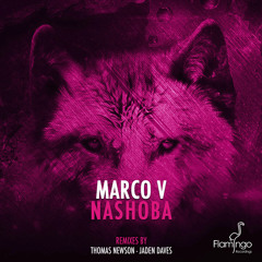 Marco V - Nashoba (Thomas Newson Remix) [Available December 1]