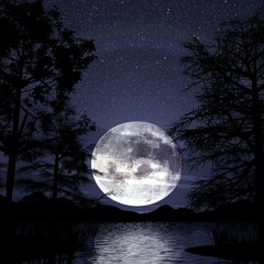 Ya se va la noche...