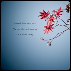 Koan 3-naviarhaiku-047-