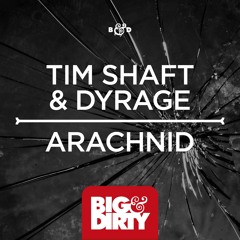 Tim Shaft & Dyrage - Arachnid (Original Mix)