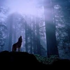 Sample Beat Instrumental To Anything