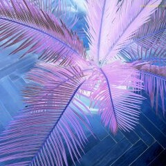 Empty -- ( wip 1 )--  ((free Download on ''ReverbNation'' page !))